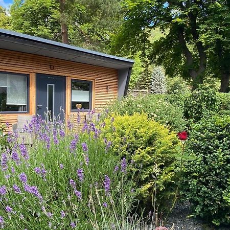 Das Ferienhaus Am Tiergarten Wernigerode Exteriér fotografie