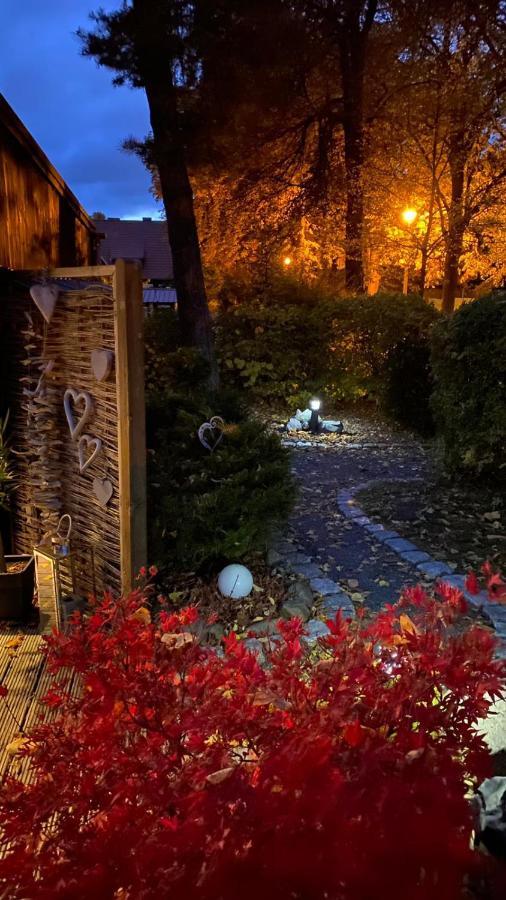 Das Ferienhaus Am Tiergarten Wernigerode Exteriér fotografie