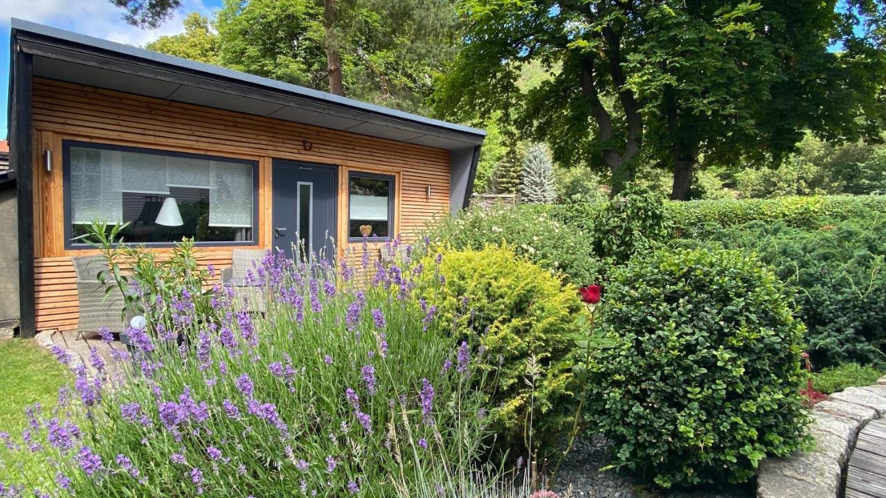 Das Ferienhaus Am Tiergarten Wernigerode Exteriér fotografie